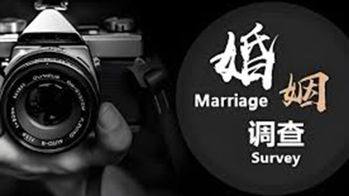 保定婚姻调查